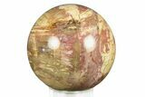 Colorful Petrified Wood (Araucaria) Sphere - Madagascar #286148-1